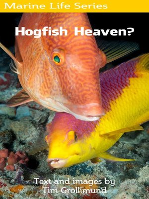 cover image of Hogfish Heaven?